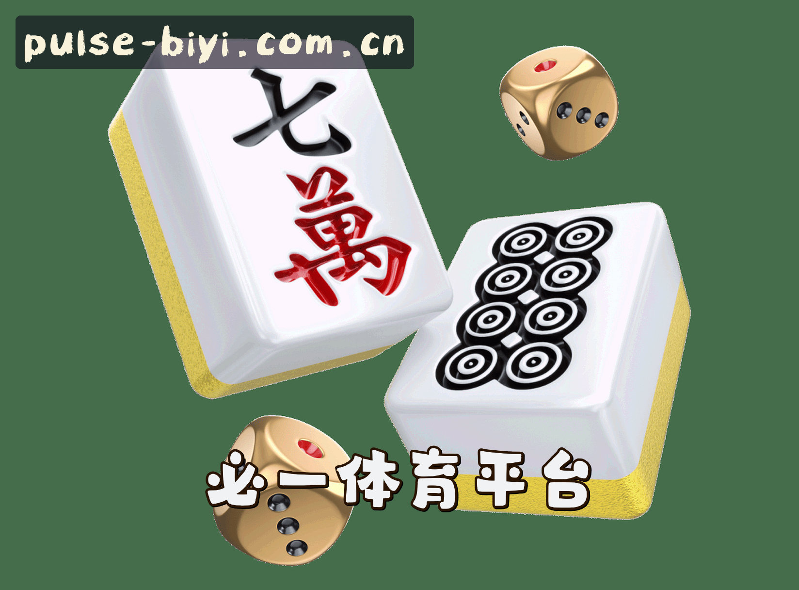 关于我们信息